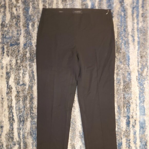 Talbots Skinny Pants Side Zipper || sz6 || Like New! - Picture 4 of 13